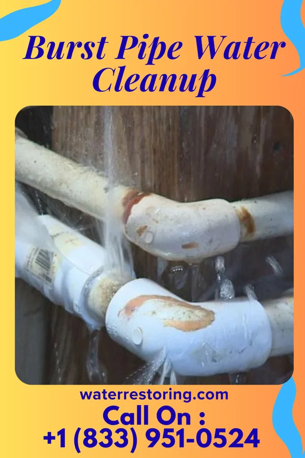 Burst Pipe Water Cleanup in Old Field, NY