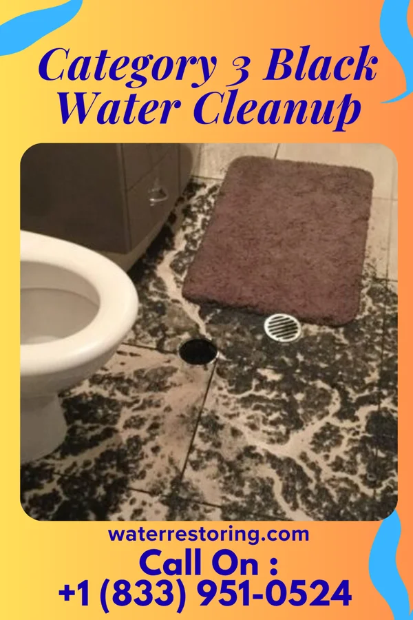 Category 3 Black Water Cleanup in Old Field, NY