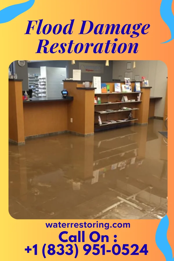 Flood Damage Restoration in Old Field, NY