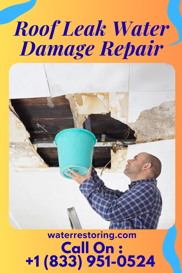 Roof Leak Water Damage Repair in Old Field, NY