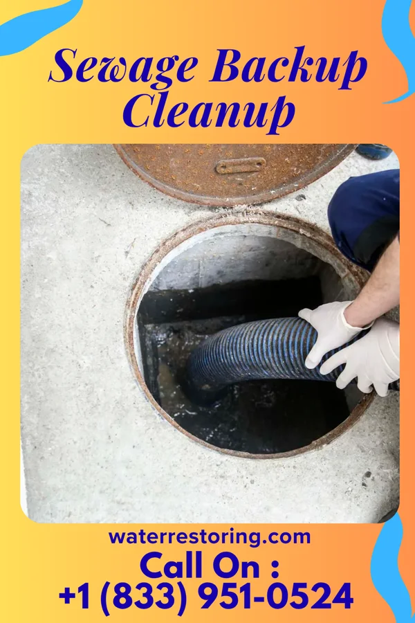 Sewage Backup Cleanup in Old Field, NY