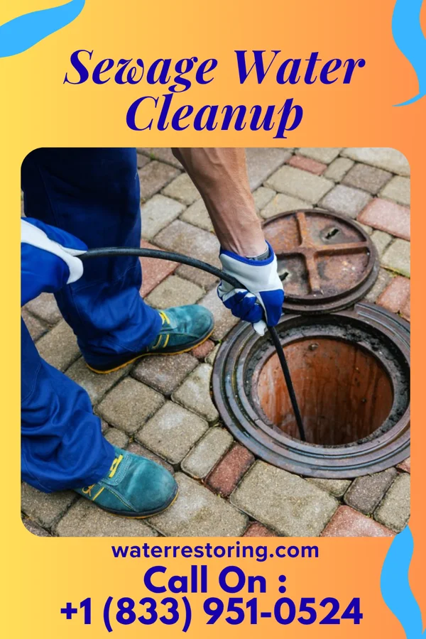 Sewage Water Cleanup in Old Field, NY
