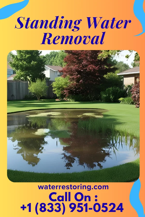 Standing Water Removal in Old Field, NY